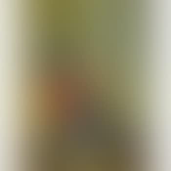Blumenstillleben. (preview)