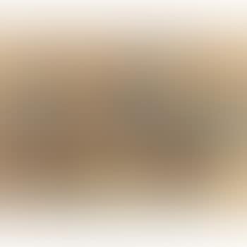 Drei Spahis. (preview)