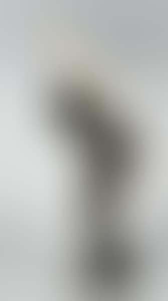 Putto portant une défense d'éléphant (preview)