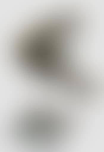 Coq au ver de terre (preview)