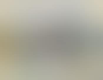 Paysage (preview)