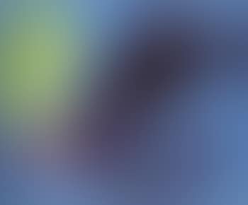 Composition (preview)