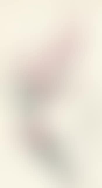 Plum (preview)