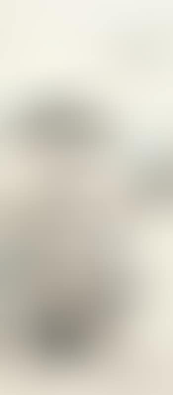 Landscape (preview)