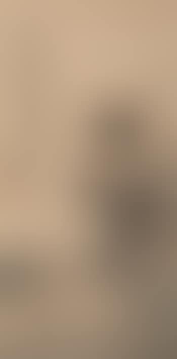 Bird (preview)