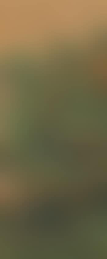 Landscape (preview)