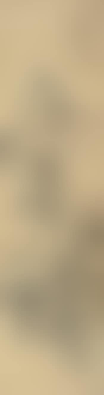 Landscape (preview)