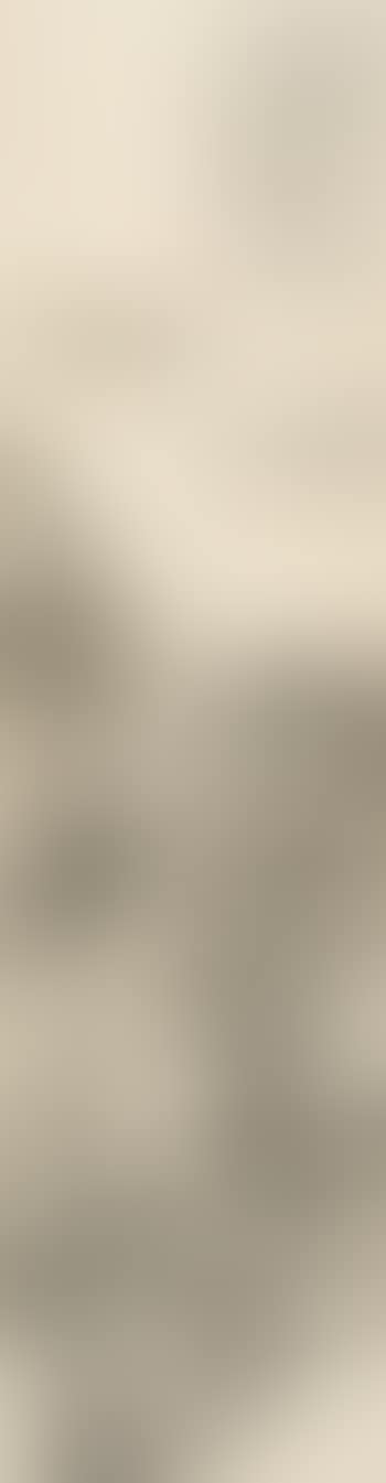 Landscape (preview)