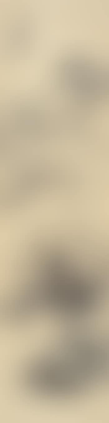 Landscape (preview)
