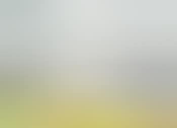 Morning Sun over the Harbor (preview)