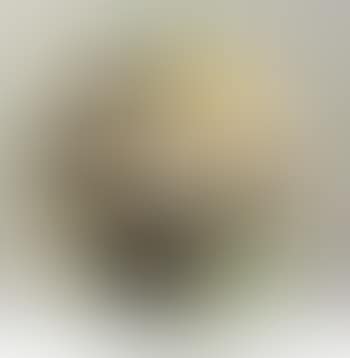 Plat Tête De Chèvre De Profil (preview)