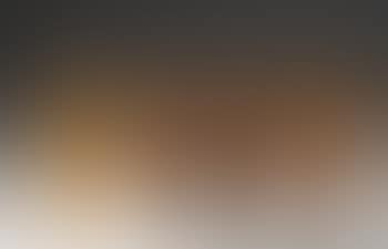 Vase Mit Hortensien (preview)
