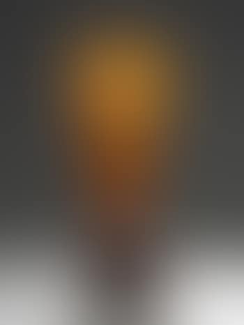 Große Vase Mit Seerosen (preview)
