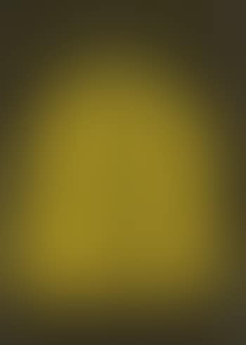 Untitled (Pumpkin) (preview)