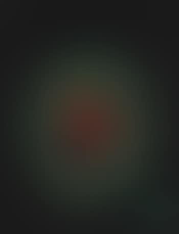 Untitled (The Red Bird) (preview)