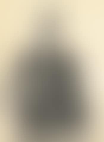 Self Portraits (preview)