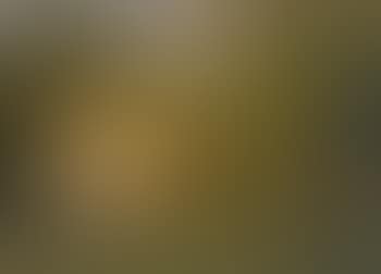 Figures In a Wooded Landscape (preview)