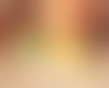 Still life (preview)