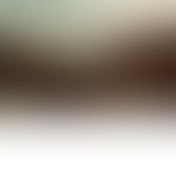 Sheep Grazing on a Hilltop (preview)