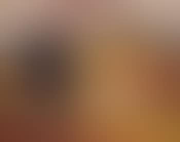 Berrima landscape (preview)