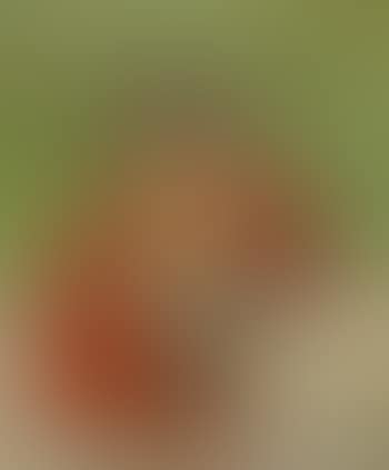 Portrait of a woman in a red scarf (preview)