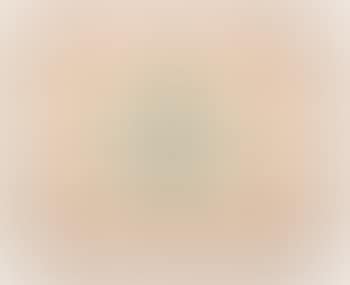 [Untitled] (preview)