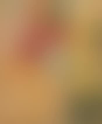 Large Study Of Roses - 21 Rosebuds And Leaves (preview)