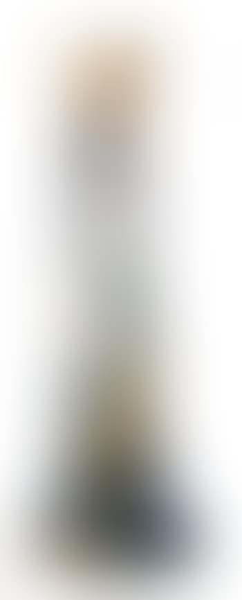 Vase with Hydrangeas (preview)