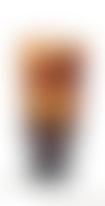 Vase with an Evening Landscape (preview)