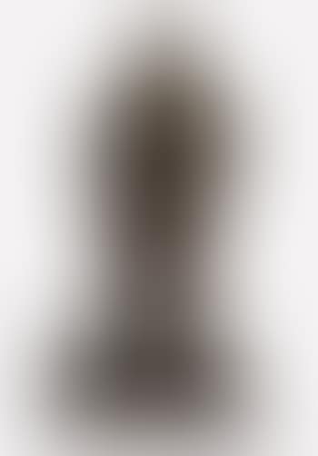 Man With Walking Stick (preview)