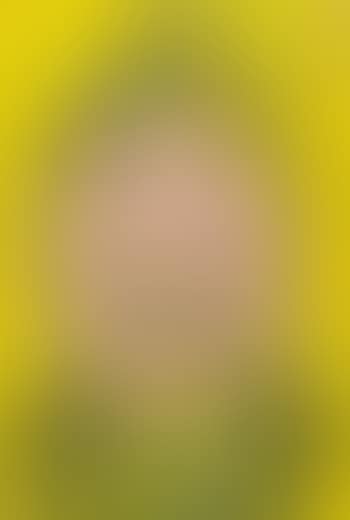 Cabeza En Rosa y Amarillo (preview)
