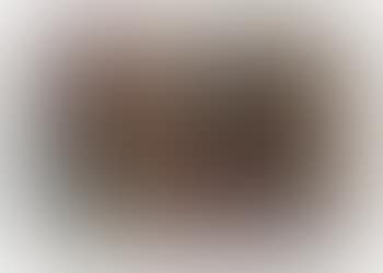 Untitled (24.2.89) (preview)