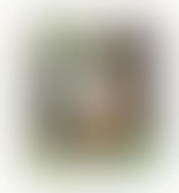 Conk (preview)