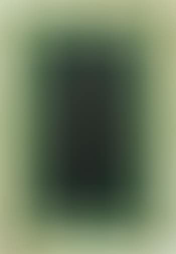Untitled (Série Amazônica) (preview)