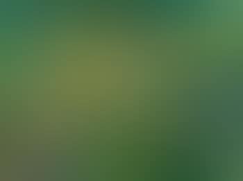 Gartenbild (preview)