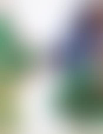 Senza titolo (preview)