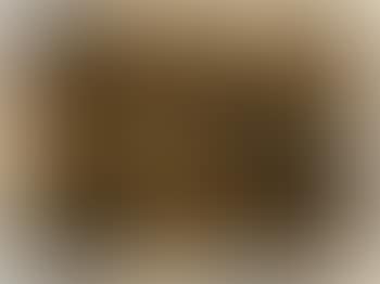 Peinture De Feu Sans Titre (F 5) (preview)