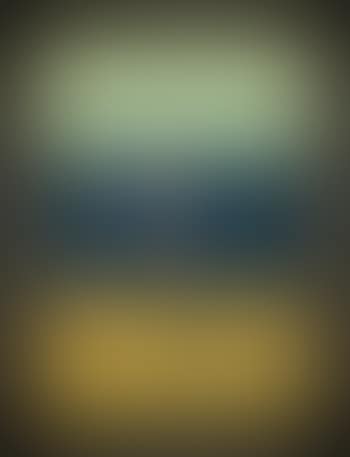 Study For Portrait Of P.L. (preview)