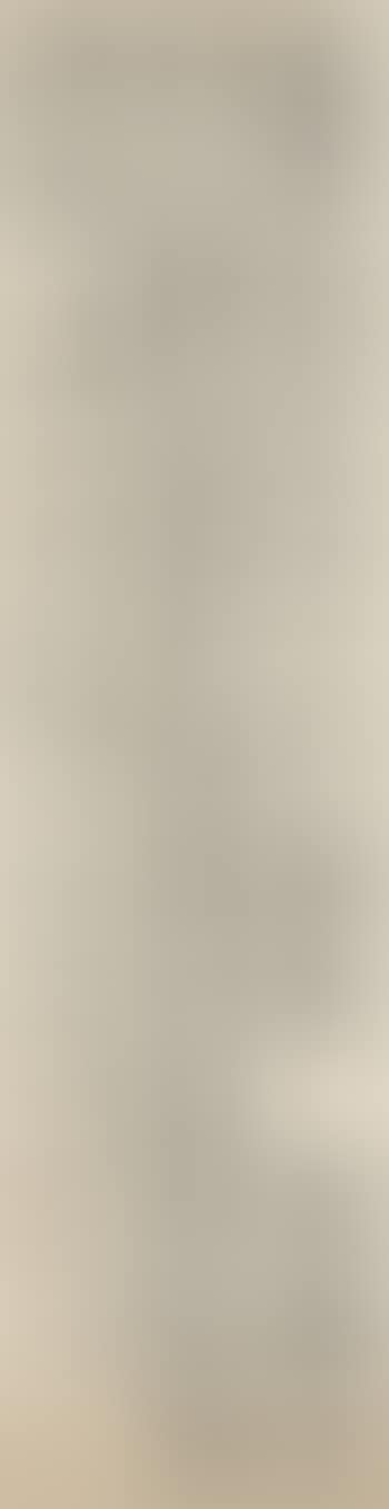 Calligraphy in Clerical Script (preview)