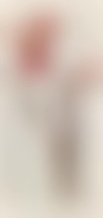 Red Canna Lily (preview)
