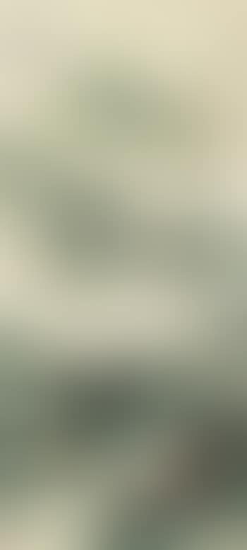 Mountains in Mist (preview)