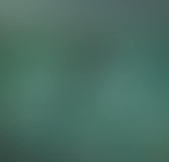 Lotus Pond (preview)