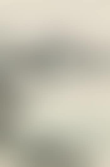 Landscape (preview)