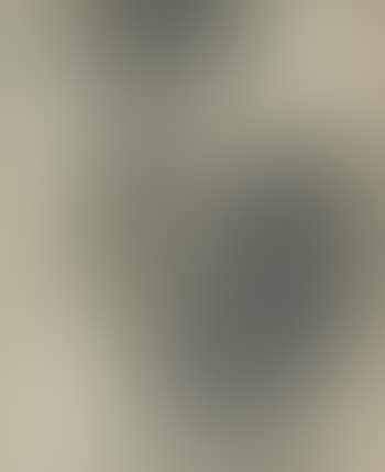 Stilleven (preview)