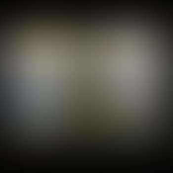 Wisteria Landscape Windows (preview)