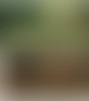 Two Flags (Diptych) (preview)
