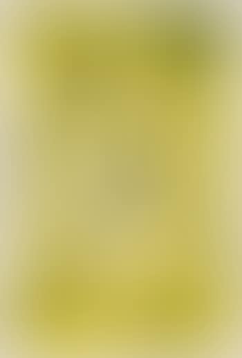 Untitled (D16) (preview)