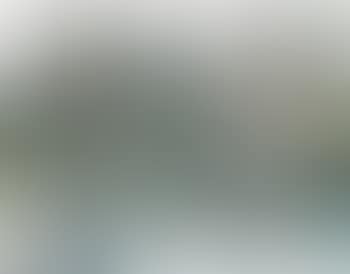 Composition au lapin (preview)