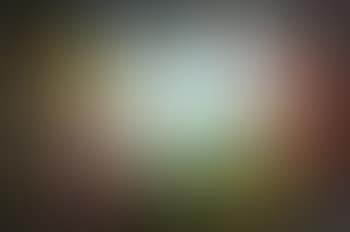 Composition (preview)
