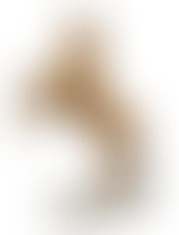 Horse (preview)